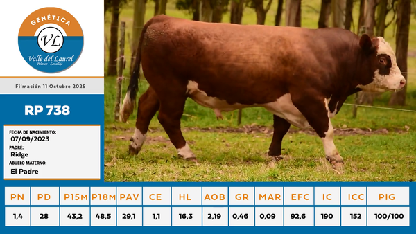 Lote 2 - Valle del Laurel