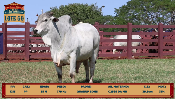 Lote LOTE 60