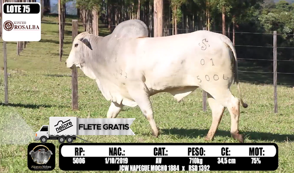 Lote LOTE 75 - RP 5006