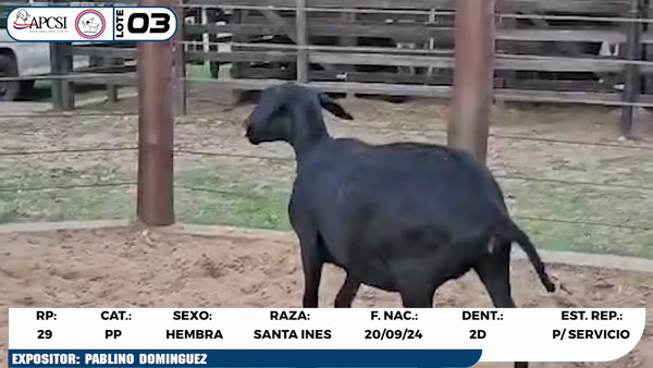 Lote LOTE 3