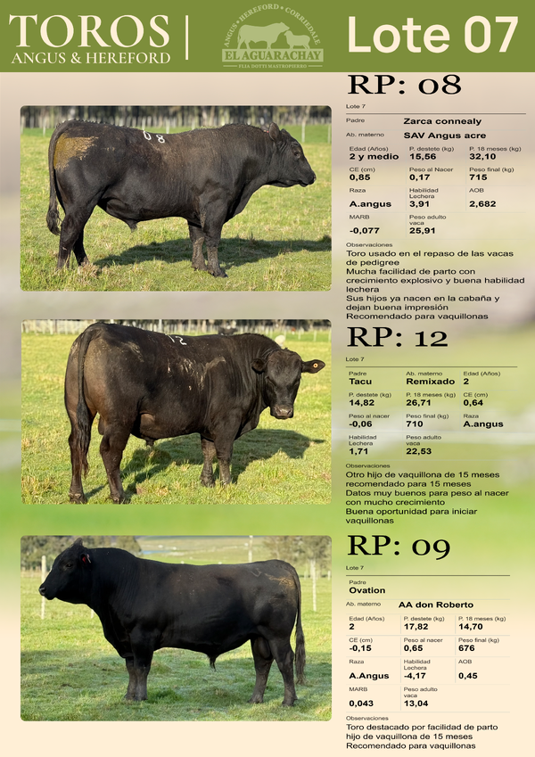 Lote LOTE 07