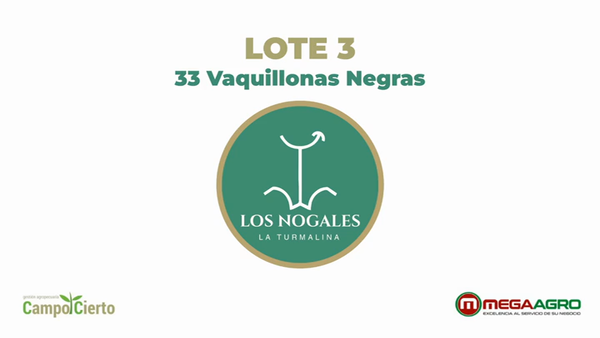 Lote LOS NOGALES