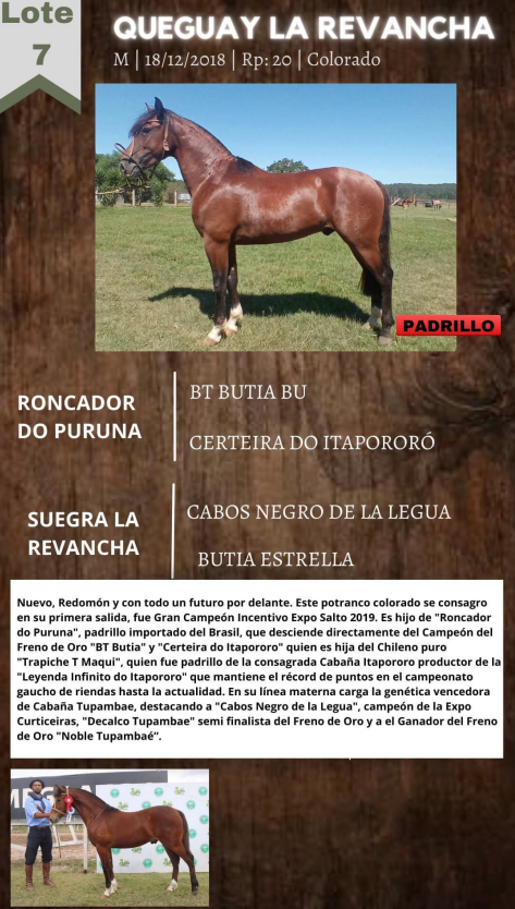 Lote QUEGUAY LA REVANCHA