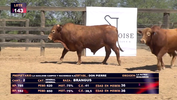 Lote LA GAULOISE CAMPOS Y HACIENDAS SA - LOTE 143