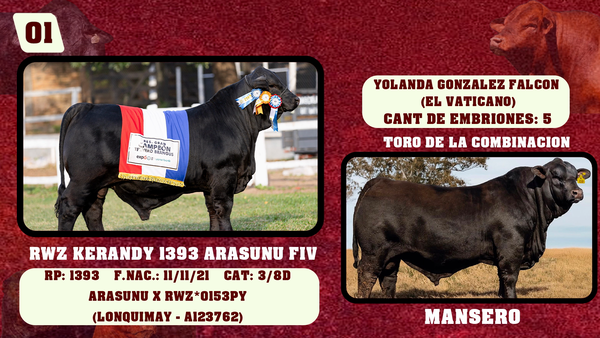 Lote LOTE 1