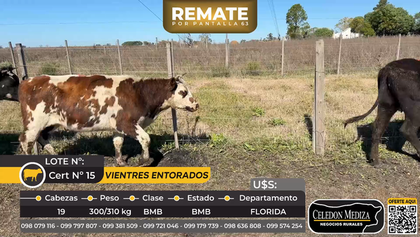 Lote 19 Vientres entorados  en Ruta 5 km148 Piedras Coloradas, Florida