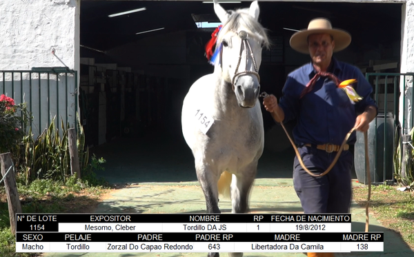Lote CRIOLLOS EXPO INTERNACIONAL 2022 RP 1 - LOTE 18