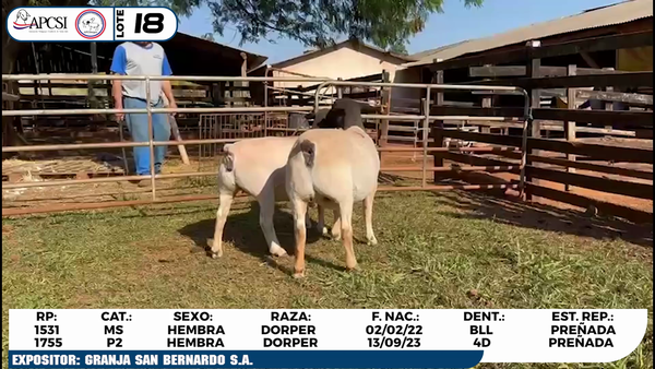 Lote LOTE 18