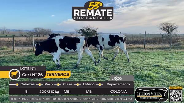 Lote 8 Terneros en La Horqueta, Colonia