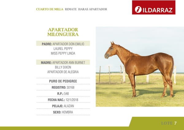 Lote APARTADOR MILONGUERA