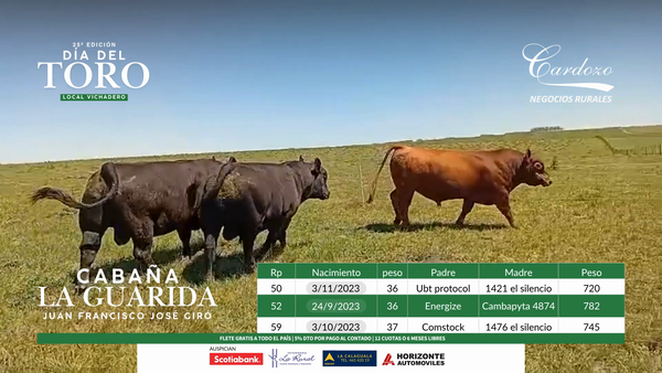 Lote La Guarida - Angus