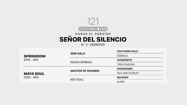 Lote SEÑOR DEL SILENCIO