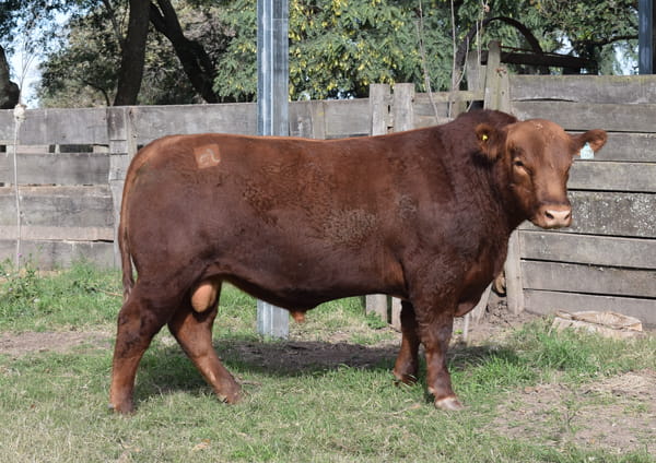 Lote CABAÑA “COEMBOTÁ” de Calderón RP 100