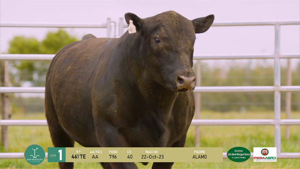 Lote 3 Toros, Flores