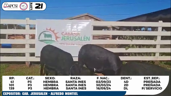 Lote LOTE 21