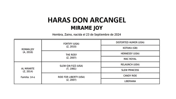 Lote MIRAME JOY