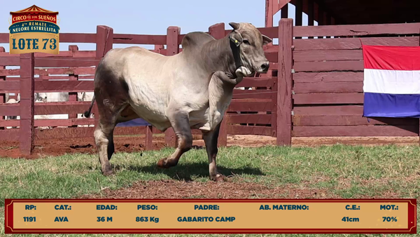Lote LOTE 73