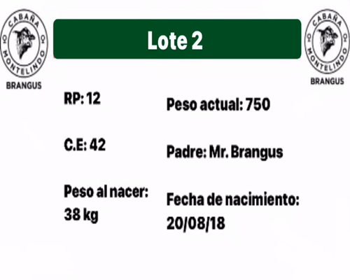 Lote MONTELINDO 12