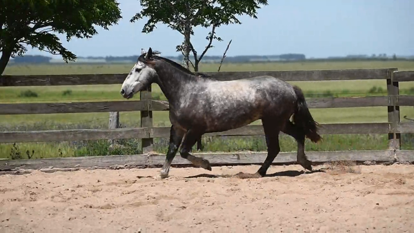 Lote CAÑADA  ORIENT