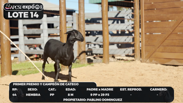 Lote LOTE 14 - CAMPO