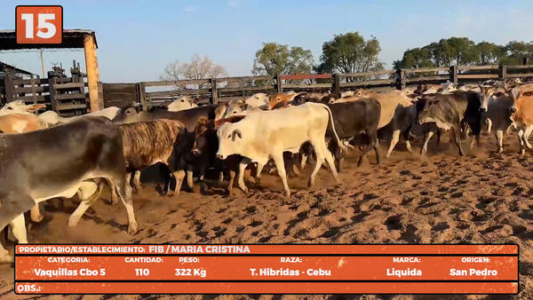 Lote LOTE 15