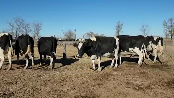 Lote Est. Don Osvaldo - Secas