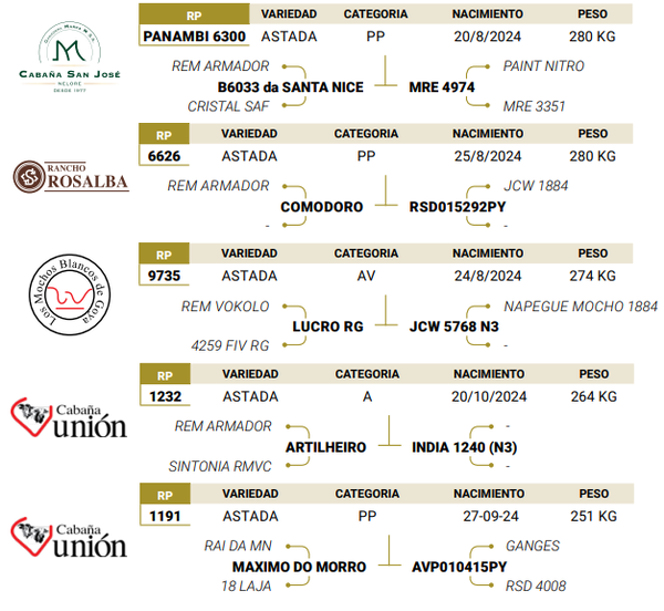 Lote LOTE 44