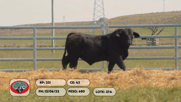 Lote 2 Toros, Artigas