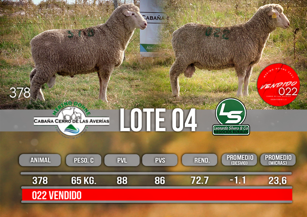 Lote LOTE 4