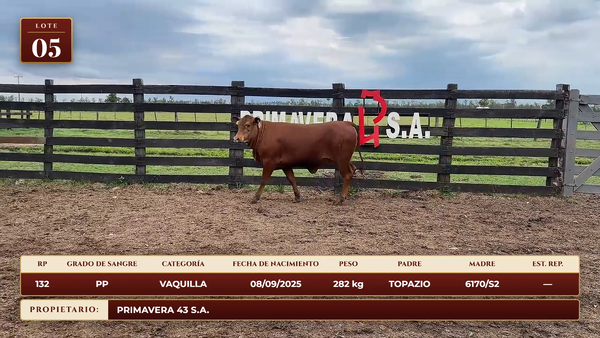 Lote LOTE 5