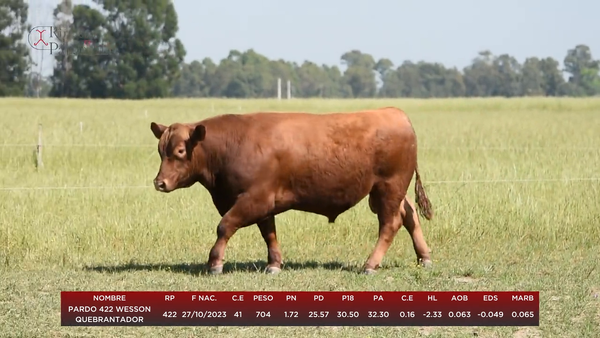 Lote PARDO 422 WESSON QUEBRANTADOR