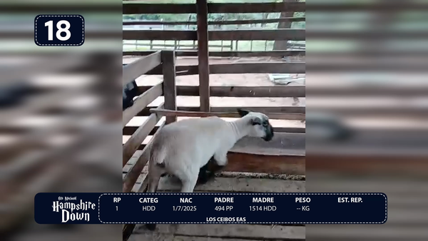 Lote LOTE 18