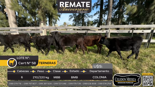 Lote 6 Terneras en Piedras de los Indios, Colonia