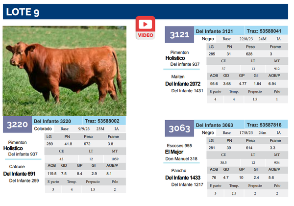 Lote Lote 9