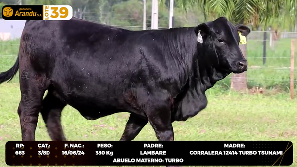 Lote LOTE 39