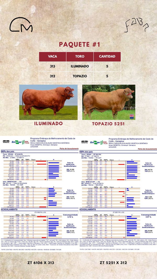 Lote PAQUETE 1