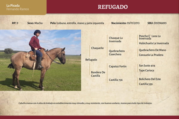 Lote Refugado (RP ) - Cabaña La Picada