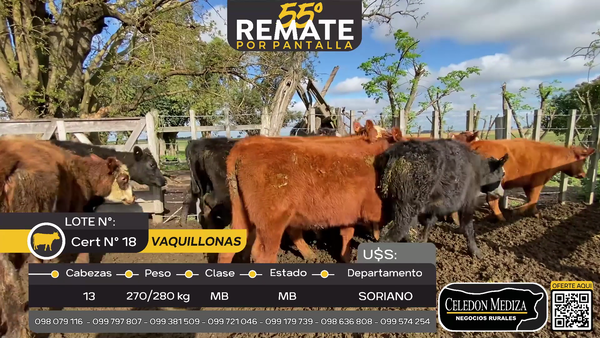 Lote 13 Vaquillonas  A 6 km de Egaña, Soriano