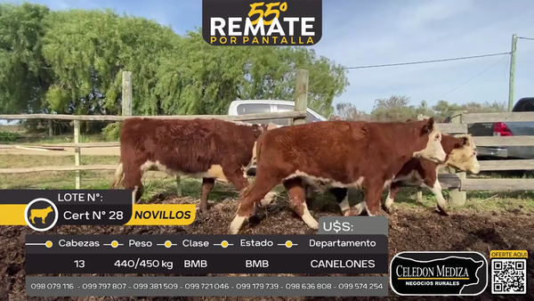 Lote 13 Novillos . a 2 km de Cerrillos, Canelones