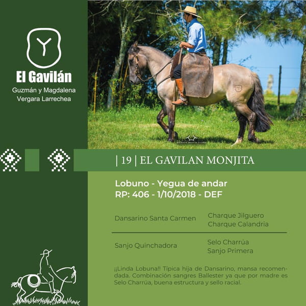 Lote El Gavilán Monjita (RP 406) Cabaña "El Gavilán"