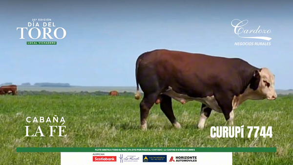 Lote Cabaña de la fe - Braford