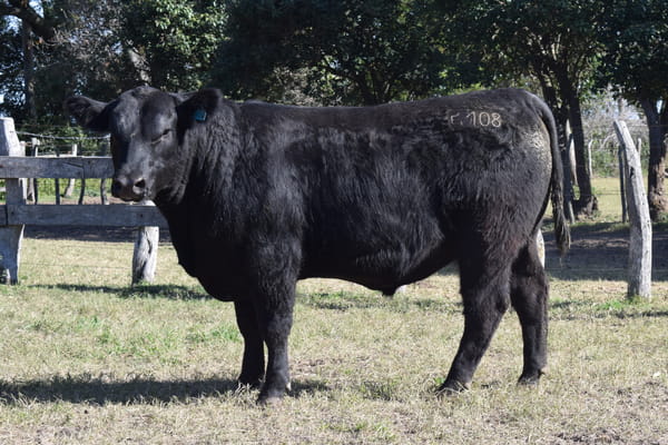 Lote CABAÑA “COEMBOTÁ” de Calderón RP 108