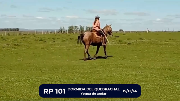 Lote DORMIDA DEL QUEBRACHAL