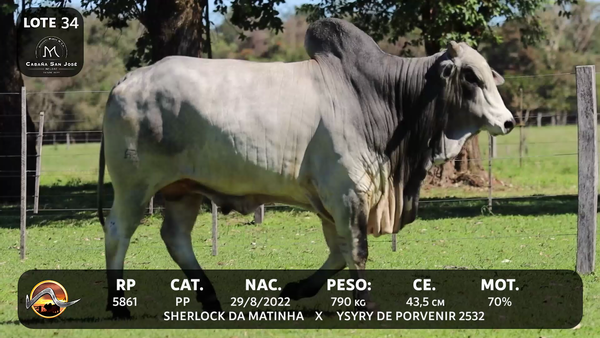 Lote LOTE 34