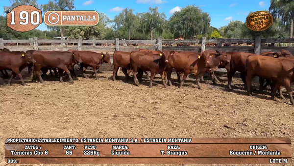 Lote LOTE 190 - PANTALLA
