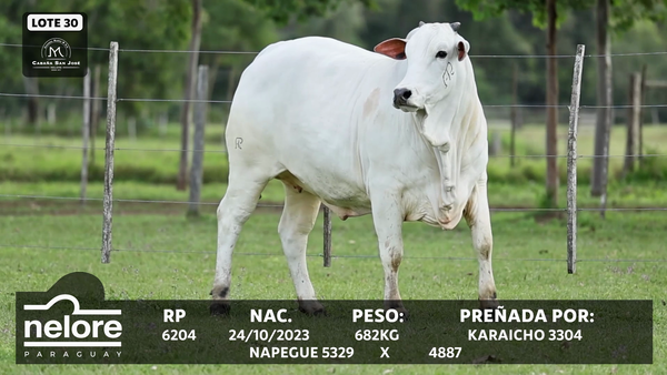 Lote LOTE 30