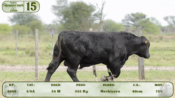 Lote LOTE 15