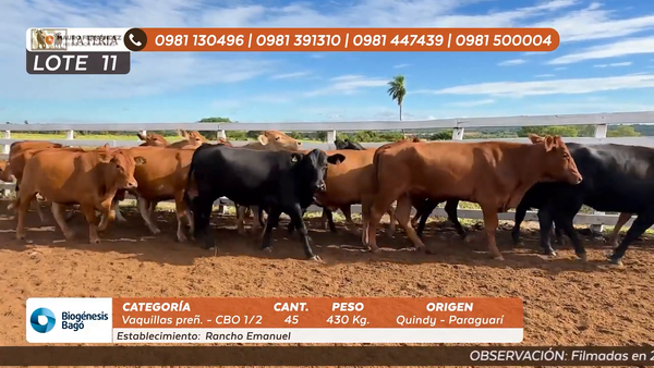 Lote ESTANCIA RANCHO EMANUEL