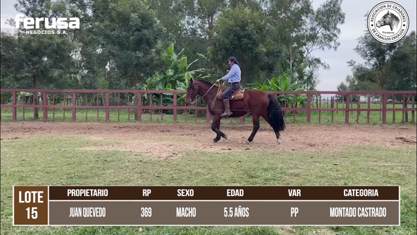 Lote LOTE 15 DE CAMPO