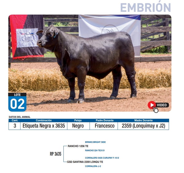 Lote Etiqueta Negra x 3635